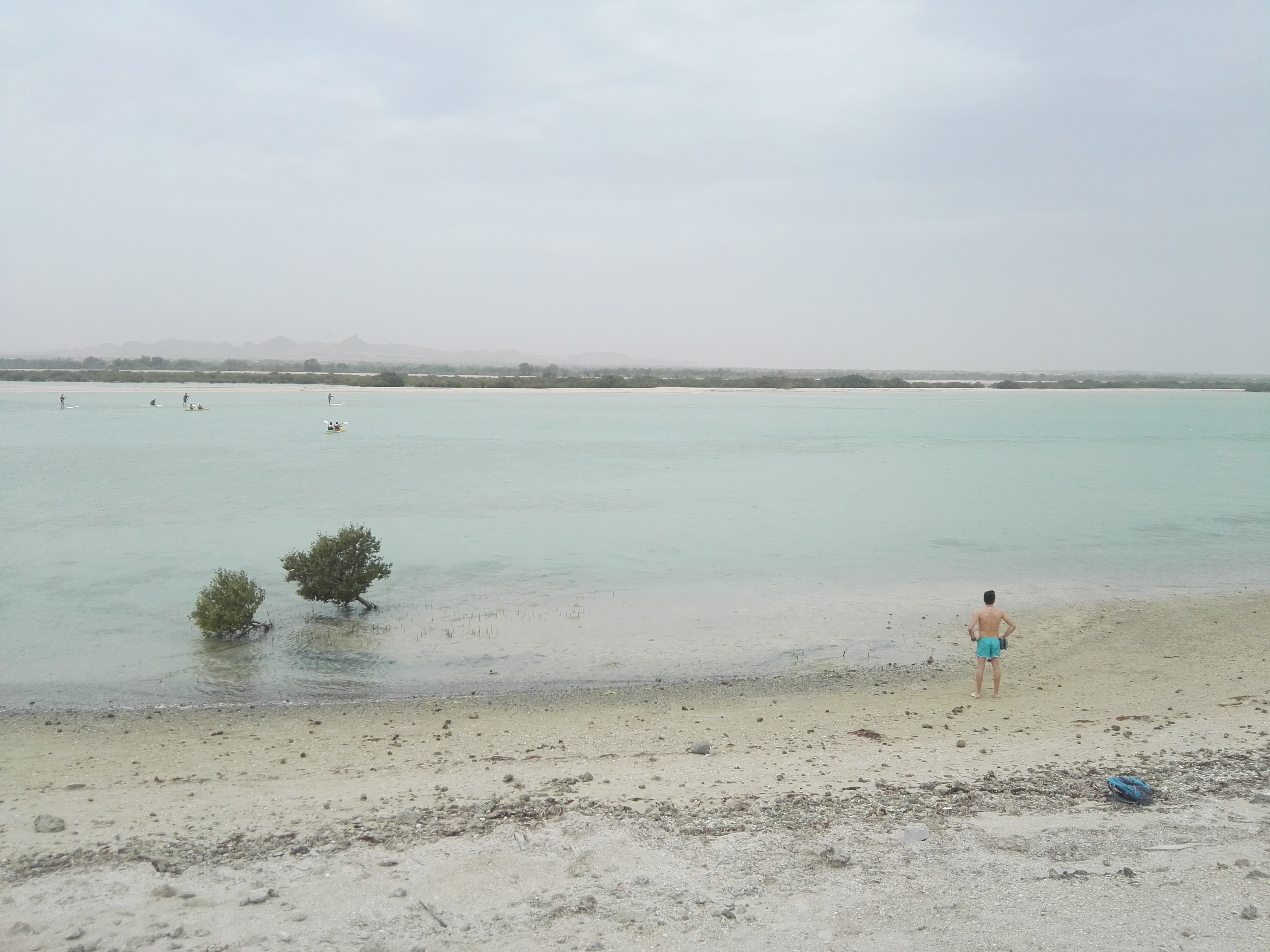Sir bani yas