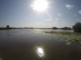 kakadu 10